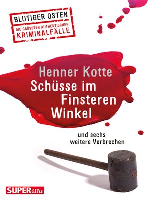cover image of Schüsse im Finsteren Winkel